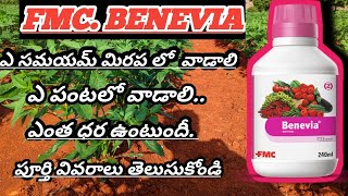 #benevia insecticide in telugu || మిరప లో బేనెవియా ఎలా పని చేస్తుంది తెలుసుకోండి, #fmc#benevia