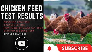 Best Chicken Feed! Organic VS GMO | Detox | Dioxin | Glyphosate  #organicfarming #backyardchickens