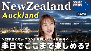 【ニュージーランドvlog】興味無かった人も思わず行きたくなる驚きの絶景！半日で巡るオークランドの旅🇳🇿〈最終日〉