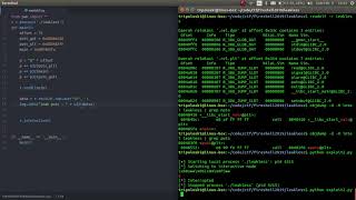 writeup fireshell 2019 leakless [ret2libc]