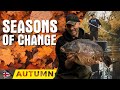 Autumn Carp Fishing at Ecton Lakes! | Seasons of Change (Ep.03) with Simon Crow