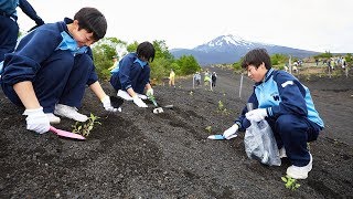 ライオン誌日本語版ビデオマガジン - 2019年8月号