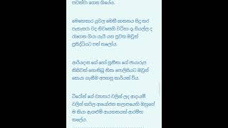 අපි දෙන්නටම තියෙන්නේ එක වගේ කතාවක් නේද බෝනික්කි| 17 කොටස | පැහැසරා | AnuDi Novels