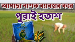 বোরো ধানে এড়িয়ে চলুন এই আগাছানাশক | বোরো ধানের আগাছানাশক ২k২৪ | Rice Weed Killer‎ @emranagro