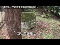 海神社・三本松（宇陀市室生区三本松3358）奈良の爺々