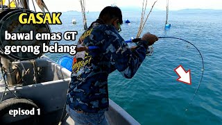 gasak ikan bawal emas GT gerong belang.tuas man jawa macam macam ada tuas ni