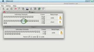 Virtual Genetics Lab in About a Minute