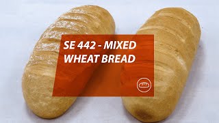 Handtmann SE 442 - Mixed wheat bread