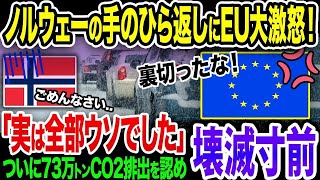 【アホなのか？】ノルウェーがEVによるCO2爆増と環境破壊を認めEVは偽善と発言！EV大国の突然の裏切りでEVシフト崩壊寸前《【海外の反応】 あっぱれジャパン🇯🇵》《with 直美🌷》