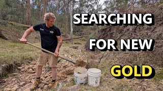 Can We Find GOLD In This Dry Creek?