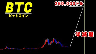 次の半減期までにビットコインが25万ドルになるのかお答えします【仮想通貨ビットコイン/BTC】