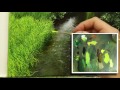 33 how to paint foliage oil painting tutorial