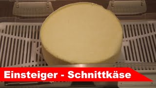 🧀 Schnittkäse selber machen 🧀 Einsteiger-Käse nach Cheddar-Art - Alles Käse