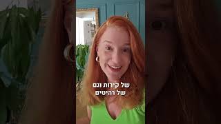 מה מספר הצבע של הקיר?