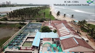 ICAR - CIBA Muttukadu Experimental Station - Aerial Footage