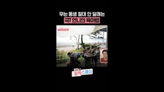 오은영 박사도 감탄할 육아 #여권들고등짝스매싱