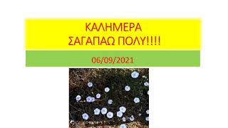 πσστ!! παντελακο μου!! 6/9/2021