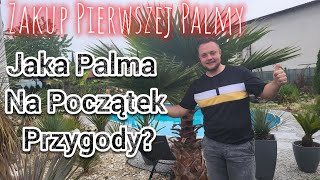 Zakup Pierwszej Palmy! Jaka Palma Najlepsza Na Początek Przygody Z Egzotykami🌴