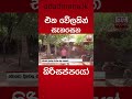 අපේම මිනිස්සු දුක් විදින තරම්