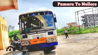 Pamuru To Nellore Cabin view Apsrtc Bus Journey || Full Journey