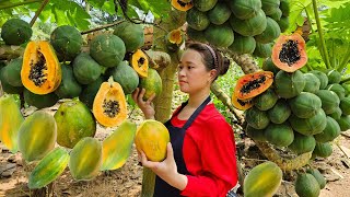 Single mother Ly Thi Ca harvested enough to bring to the market to sell and cook for the pigs to eat