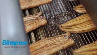 SINOFROST| Frozen Roasted Eel Wholesale Supplier