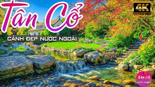 CẢ XÓM BU ĐÔNG Khi Nghe CA CỔ Hơi Dài Bất Hủ Hay Nhất Việt Nam - Tân Cổ Cảnh Đẹp Nước Ngoài 4K