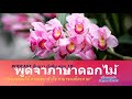 ภาษาดอกไม้ nice language สุข happy podcast ยิ้มยาวยั่งยืน10 เพื่อนหนุนใจ supportivepal