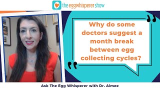 Why do some doctors suggest a month break between egg collecting cycles? (Ask the Egg Whisperer)