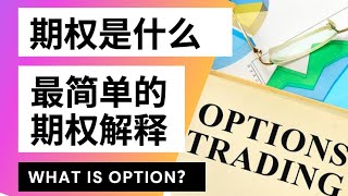 【3分钟秒懂期权】史上最简单的期权解释！期权价格决定因素是什么？一看就懂