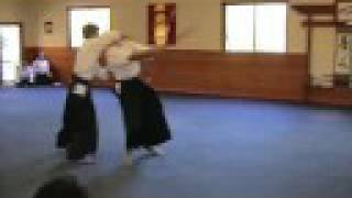 Aikido Yuishinkai