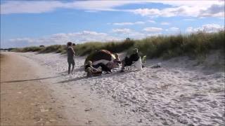 Øster Hurup   Det gode liv   En sommerdag på stranden ved Kattegat