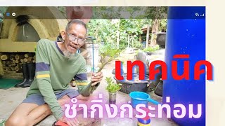 เทคนิคควบแน่นกิ่งกระท่อม ติด100%|บ้านสวนลุงหนวดปะอาว