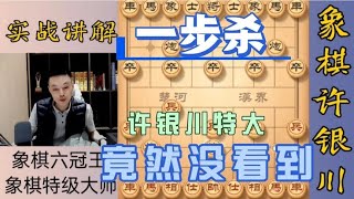 直播间一万多人都看到的杀棋，许银川特大竟然没看到