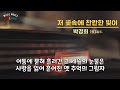 ▶ 박경희 저 꽃속에 찬란한 빛이 1974年 작사 전우 작곡 김기웅 편곡 원희명