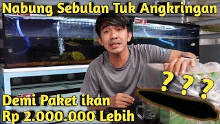 HASIL NABUNG! UNBOXING PAKET IKAN RP 2.000.000 LEBIH DARI KALIMANTAN