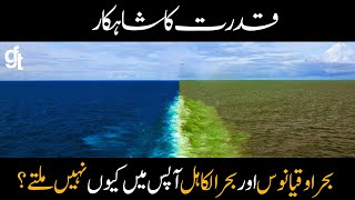 Miracle of Nature, Why The Atlantic Ocean, and The Pacific Ocean Do Not Meet