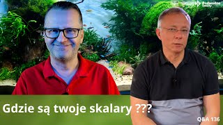 Gdzie są twoje skalary ??? Q\u0026A136