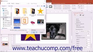 PowerPoint 2016 Tutorial Fill & Line Settings Microsoft Training
