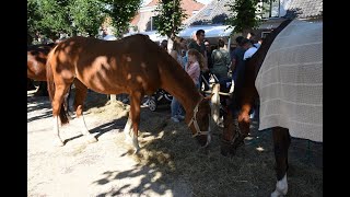 Paardendagen Voorschoten 2022. fotoslideshow en filmpje.  wwwleidseglibber.nl