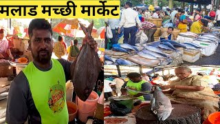 मलाड होलसेल फिश मार्केट | Malad fish market latest video | मलाड मच्छी मार्केट #fishmarket #fish