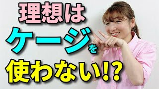 【犬 サークル・ケージ】愛犬に快適なサークルケージの使い方【犬のしつけ＠横浜】by遠藤エマ