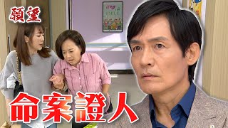 願望 EP74預告｜當年醫院命案關鍵證人是她！唯芸媽辭職的秘密是...？