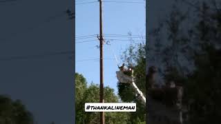 In case you've never seen them change a fuse #lineman #powerlines #electricity