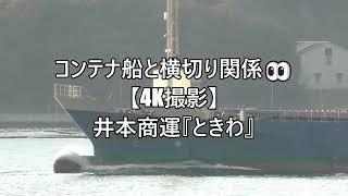 コンテナ船と横切り関係👀【4K撮影】井本商運『ときわ』