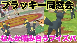 【ポケマス】ブラッキーが半分を占めるバトル【エリートモード】