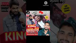 #King_Chamaran | किंग चमारान | #vikash_rao Chamar Song #Live Video @sangharshmusichit