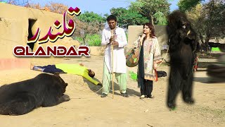 Qlandar//Ramzi New Funny Video By Rachnavi Tv