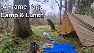 A frame tarp set up, pork cranberry pastries, new Tea light lantern