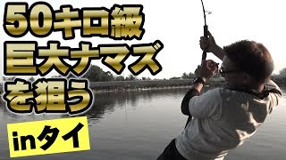 タイの巨大魚釣り堀【メコンオオナマズ編】【PART1】【NEWブンサムラン】